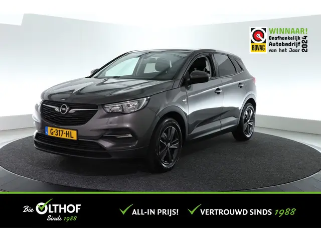 Opel Grandland X 1.2 Turbo 120 Jaar Edition 2019 Benzine