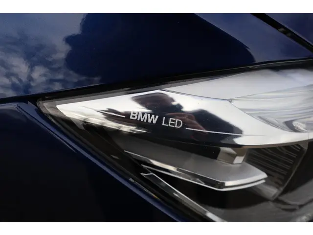 BMW 3 Serie 318i Luxury Edition 2019 Benzine 12