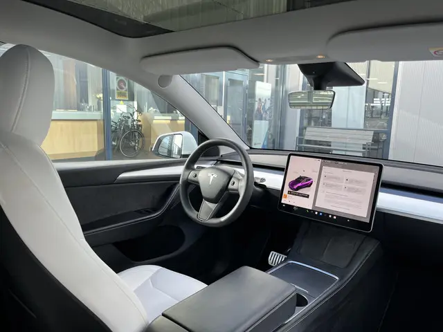 Tesla Model Y Performance AWD 75 kWh 2023 Elektrisch 47