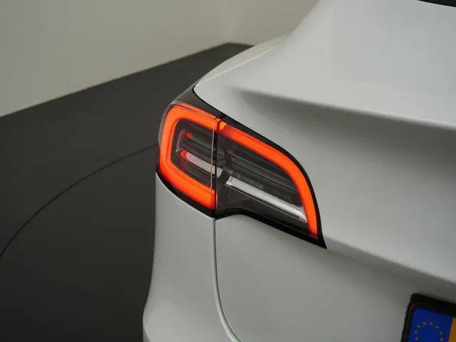Tesla Model 3 Standard RWD Plus 60 kWh 2021 Elektrisch 9