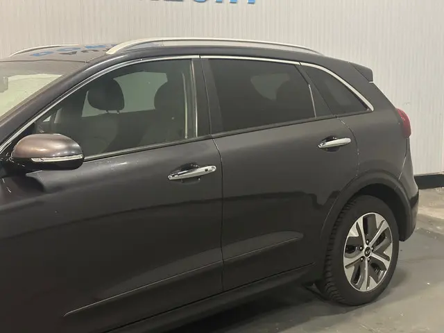 Kia e-Niro ExecutiveLine 64 kWh 2020 Elektrisch 5