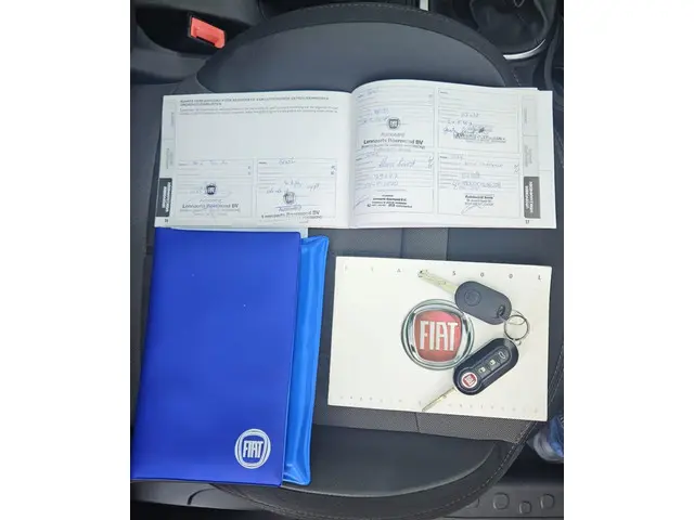 Fiat 500L 0.9 TwinAir Lounge 2015 Benzine 29