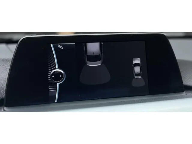 BMW 3 Serie 320i Business 2013 Benzine 16