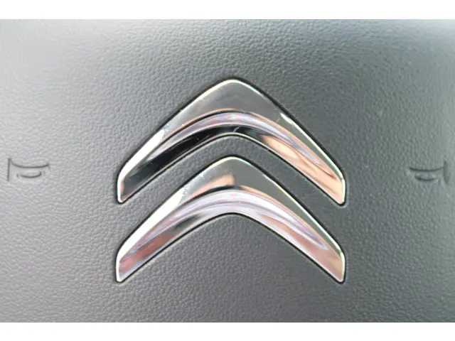 Citroën C3 1.2 PureTech S&S Feel 2018 Benzine 20