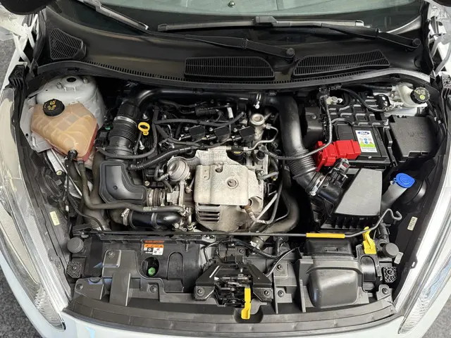 Ford Fiesta 1.0 EcoBoost ST Line 2017 Benzine 18