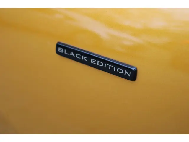 Renault Scénic 1.3 TCe Black Edition 2020 Benzine 32