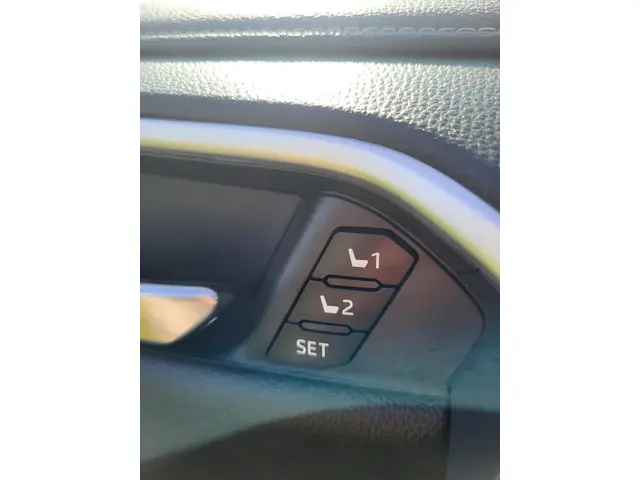 Toyota RAV4 2.0 VVT-iE Executive 2019 Benzine 25