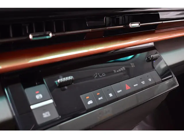 Farizon SV L2H3 83 kWh 2025 Elektrisch 22