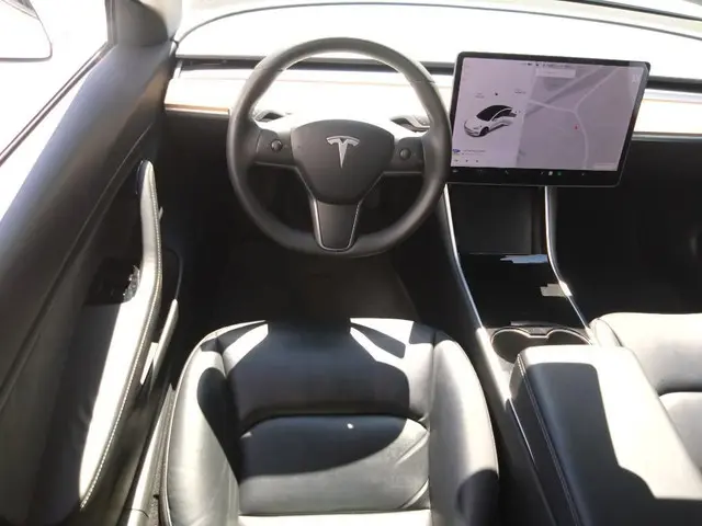 Tesla Model 3 Range Plus 2020 Elektrisch 7