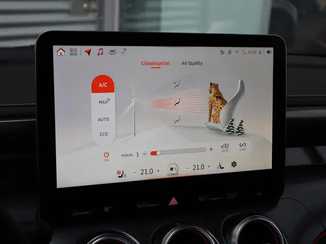 Smart #3 Premium 66 kWh 2025 Elektrisch 25