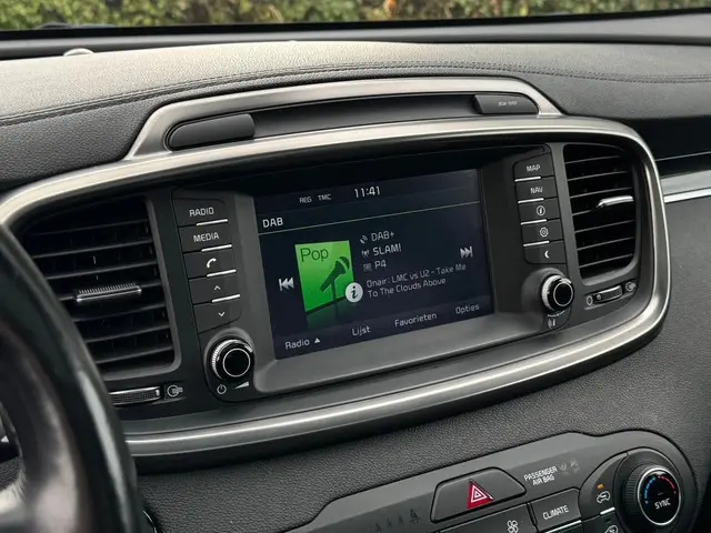 Kia Sorento 2.2 Automaat, Leer, Panodak,trekhaak 2015 Diesel 12