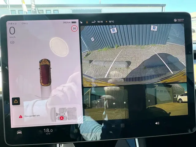 Tesla Model 3 Long Range AWD 75 kWh 2019 Elektrisch 12