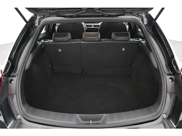 Lexus UX 300e Business 54 kWh 2020 Elektrisch 22