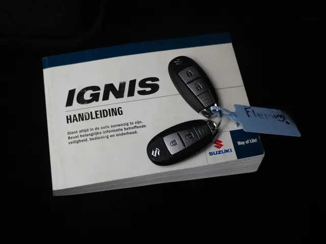 Suzuki Ignis 1.2 Smart Hybrid Stijl 2019 Benzine 28