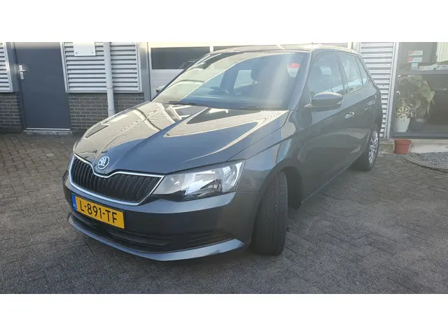 Škoda Fabia 1.2 TSI Monte Carlo 2017 Benzine 26