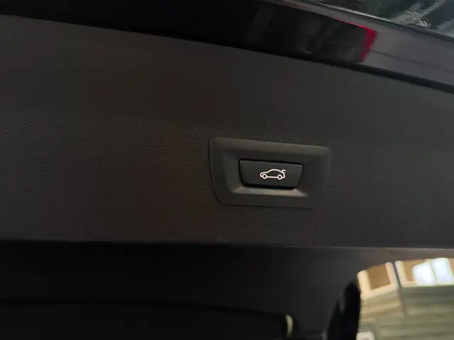 BMW X4 XDrive20i M Sport | Open dak | 2020 Benzine 34