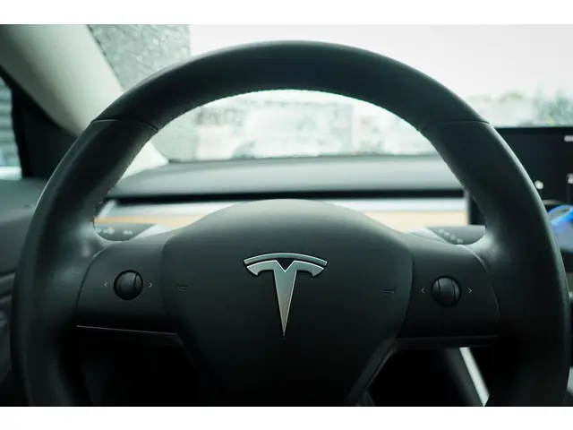 Tesla Model 3 Standard RWD Plus 60 kWh 2019 Elektrisch 17