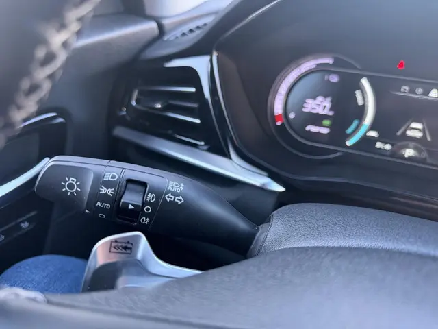 Kia e-Niro Executive 64 kWh VOL OPTIES 2022 Elektrisch 25