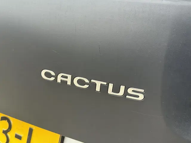 Citroën C4 Cactus 1.2 PureTech Shine 2016 Benzine 26