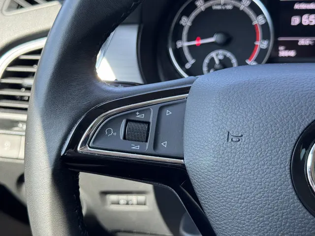 Škoda Fabia Combi 1.0 TSI Business Edition 2020 Benzine 13