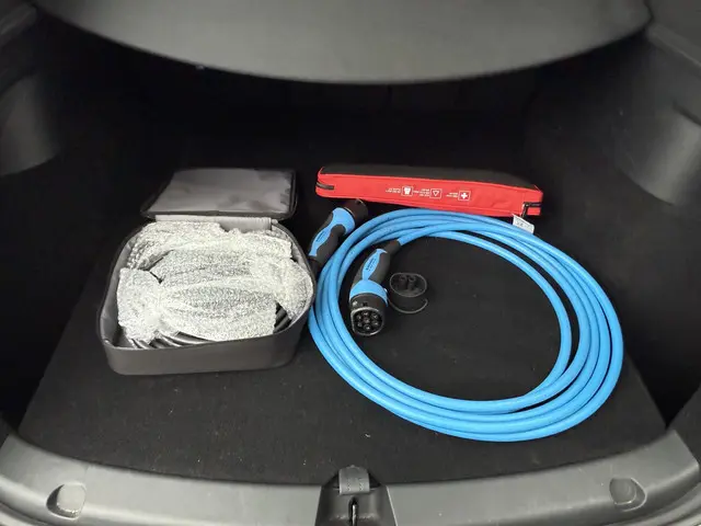 Tesla Model Y Range Plus 2022 Elektrisch 10