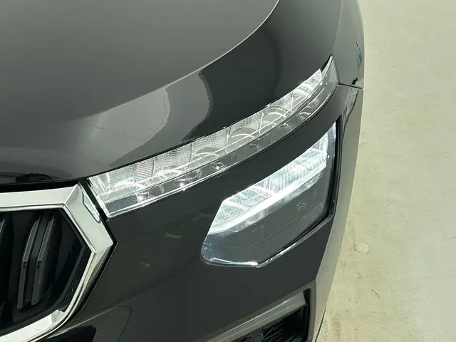 Škoda Kamiq 1.0 TSI Business Edition DSG 2025 Benzine 30