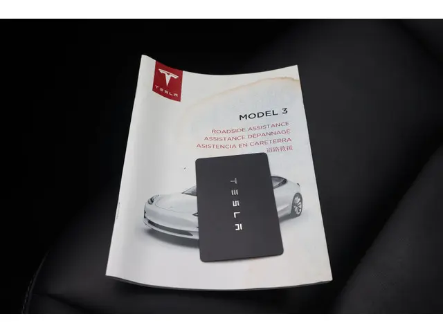 Tesla Model 3 Long Range AWD 75 kWh 2019 Elektrisch 6