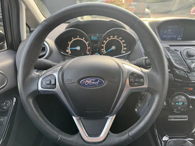 Ford Fiesta 1.0 EcoBoost 100pk Titanium 2014 Benzine 19