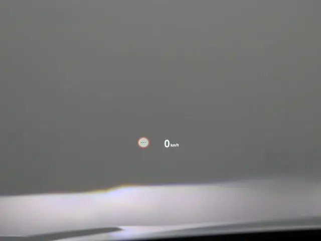 BMW X1 sDrive20i 2019 Benzine 28