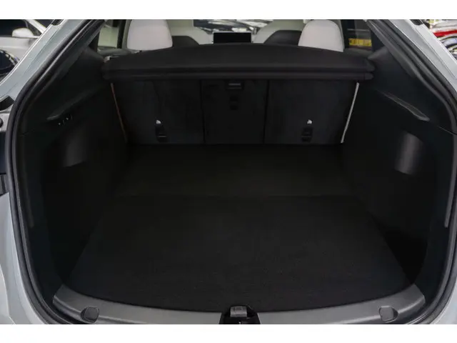 Tesla Model Y Long Range AWD 75 kWh 2023 Elektrisch 19