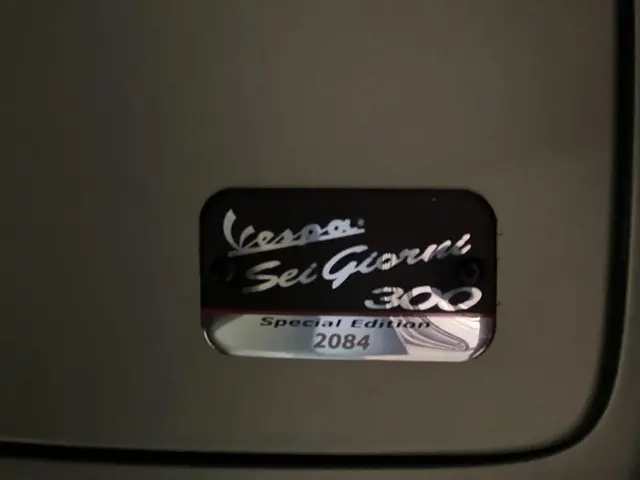 Vespa GTV 300 Sei Giorni LE 2018 Benzine 8