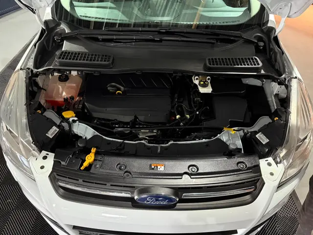 Ford Kuga | 1.5 Titanium | 2016 Benzine 39