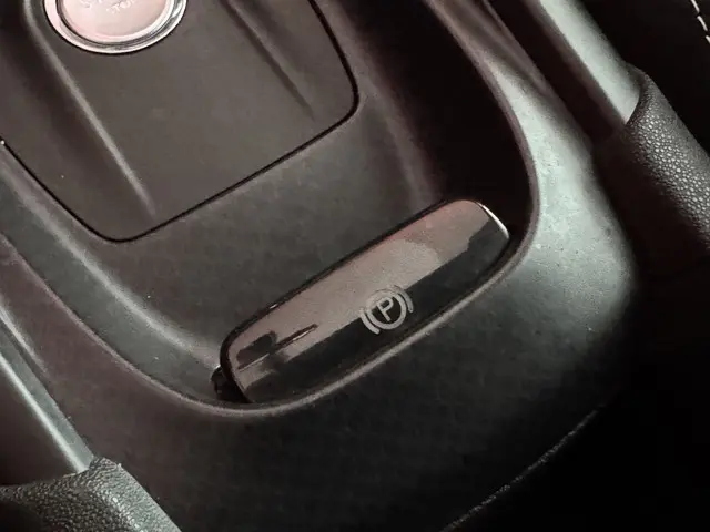 DS DS 4 Crossback 1.6 THP Chic 2016 Benzine 45