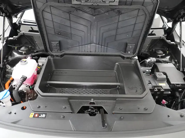 Kia Niro EV ExecutiveLine 64.8 kWh 2023 Elektrisch 17