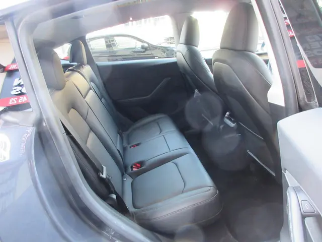 Tesla Model Y RWD 58 kWh 2023 Elektrisch 12