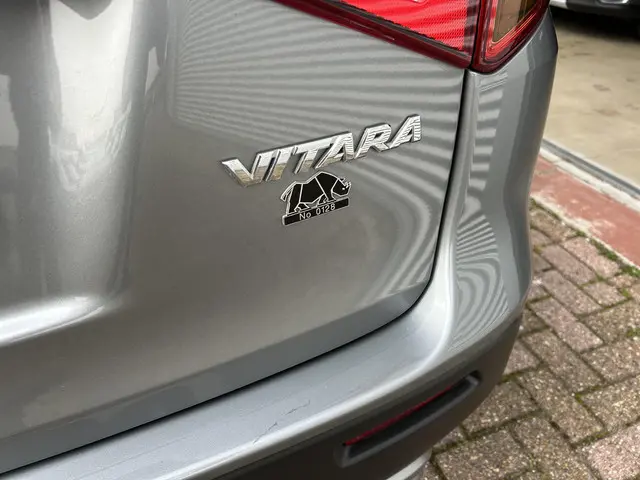 Suzuki Vitara 1.6 Rhino 2017 Benzine 4