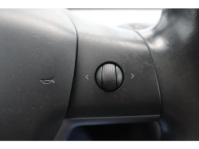 Tesla Model 3 Long Range AWD 75 kWh 2019 Elektrisch 23