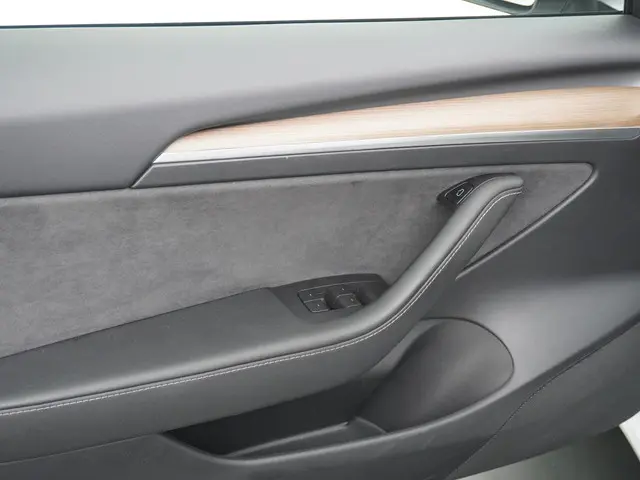 Tesla Model 3 Standard RWD Plus 60 kWh 2021 Elektrisch 16
