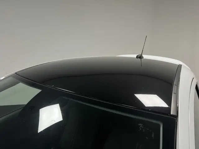 Opel Corsa 1.0 Turbo Black Roof Edition 2017 Benzine 36