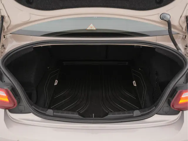 BMW 2 Serie Coupé 220d High Executive 2014 Diesel 11