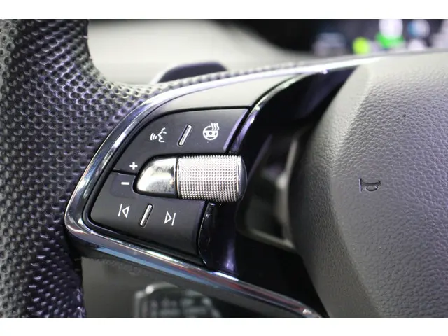 Škoda Enyaq Coupe iV 80 RS 2023 Elektrisch 18