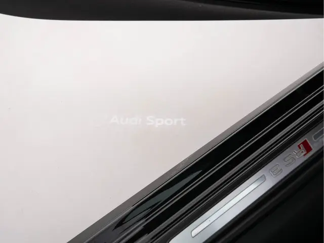 Audi RS3 2.5 TFSI quattro 2017 Benzine 26