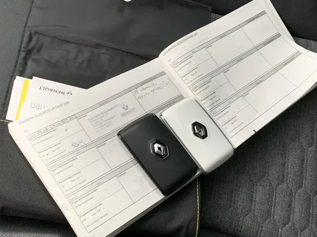 Renault ZOE R135 Intens 52 kWh (ex Accu) 2020 Elektrisch 13