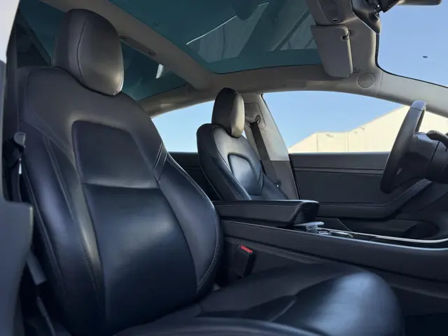 Tesla Model 3 Range Plus 2020 Elektrisch 13