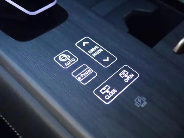 Nissan ARIYA 66 kWh Evolve 2024 Elektrisch 30