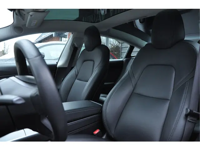 Tesla Model 3 Standard RWD Plus 60 kWh 2021 Elektrisch 10