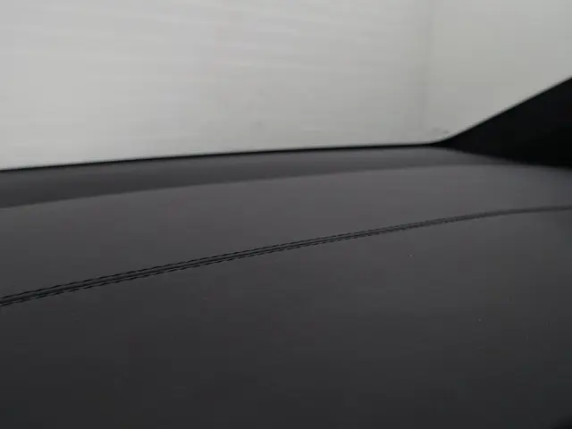 Tesla Model X Long Range Black Pack- 2019 Elektrisch 28