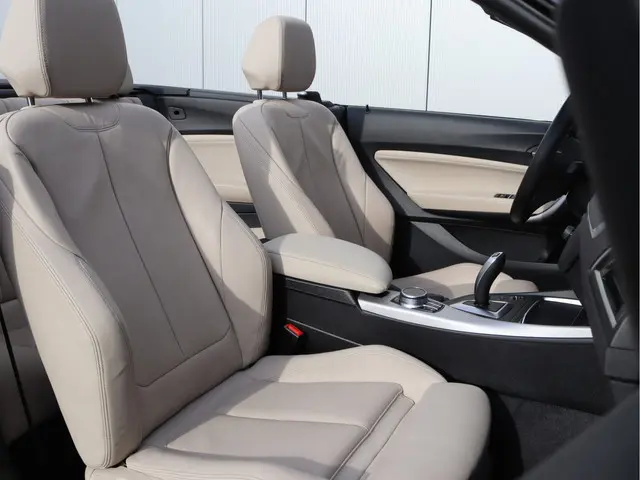 BMW 2 Serie Cabrio 220i High Executive 2021 Benzine 23