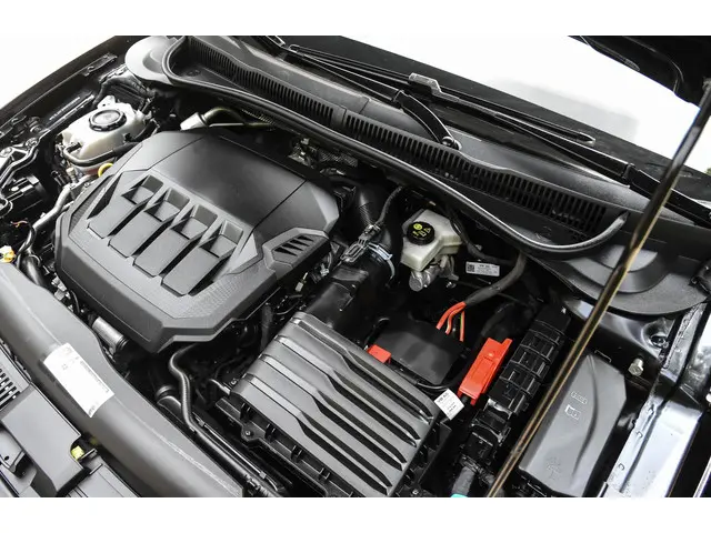 Volkswagen Polo 2.0 GTI 2020 Benzine 25