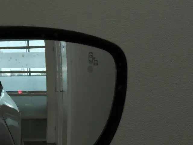 Renault ZOE R135 Iconic 52 kWh 2024 Elektrisch 14